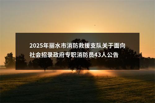 2025年丽水市消防救援支队关于面向社会招录政府专职消防员43人公告 图片